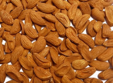 تصویر 5 از فروش مغز بادام مامایی + قیمت خرید به صرفه